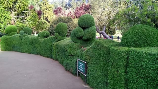 Ooty Botanical Garden