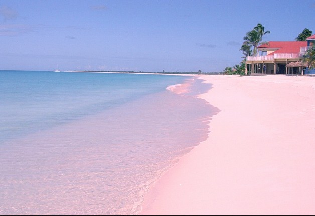 Bonaire Pink Beach Dutch Caribbean Island