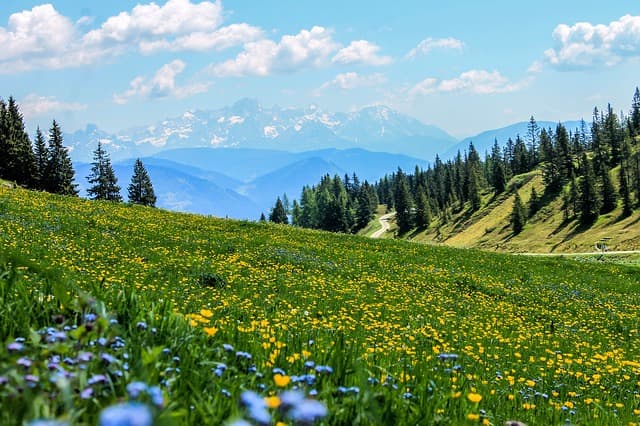 Valley Of Flowers Trek The Himalayas