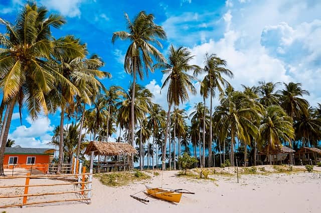 Beach Shacks Goa