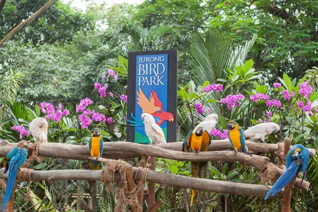 Jurong Birds Park