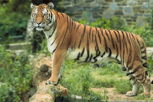 Sariska National Park Zones