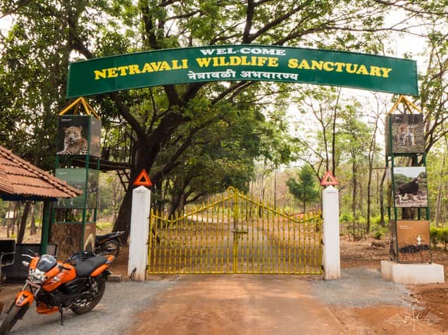 Netravali Wildlife Sanctuary, Netravali Closer To Goa