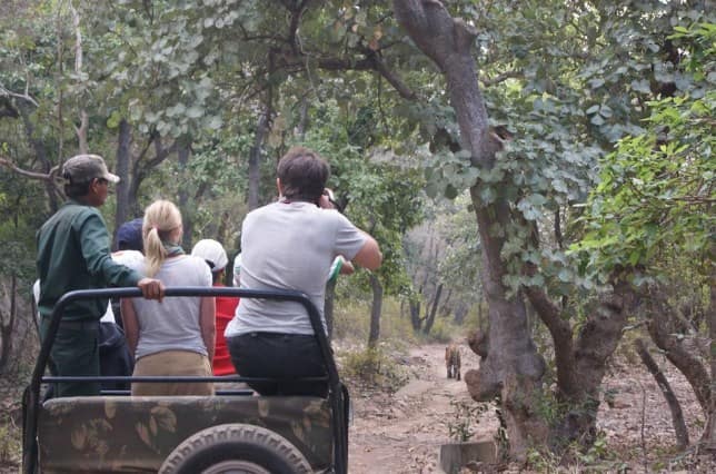 Bhagwan Mahavir Wildlife Sanctuary, Panjim