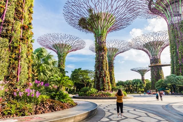 Gardens Of The Bay