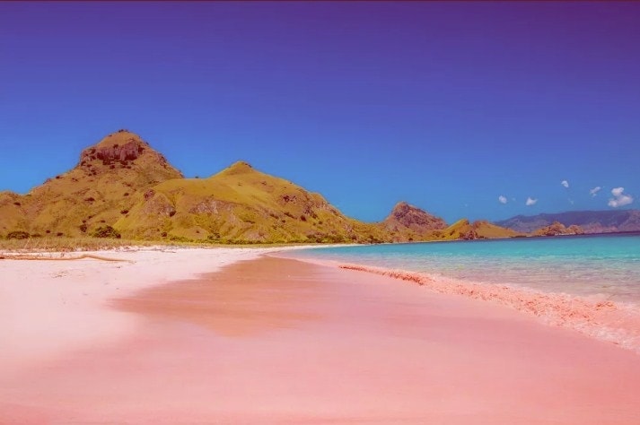 Pink Sand Beach Maui