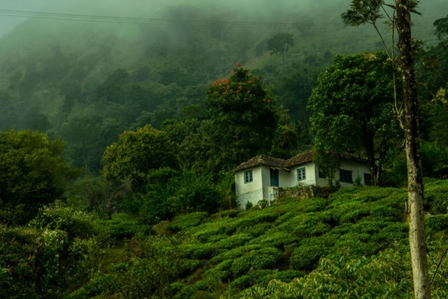 Wayanad Tourist Places: Wayanad Heritage Museum