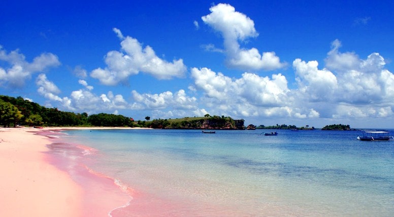 Pink Sand Beach Bahamas Tours