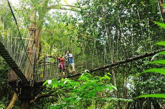 Things To Do In Penang National Park Hiking