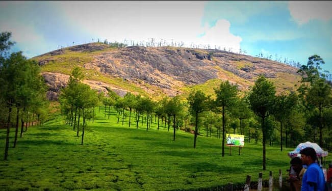 Photo Point Or Shooting Point Munnar Tourist Places