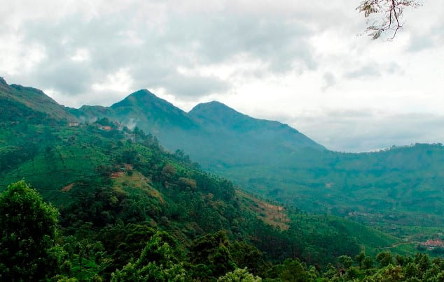 Chokramudi Peak Camp Munnar Tourist Places