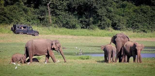 Sri Lanka For Wildlife