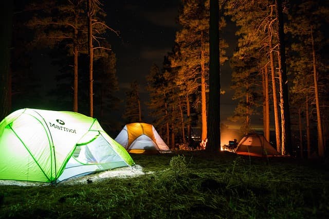 Forest Camping In Munnar