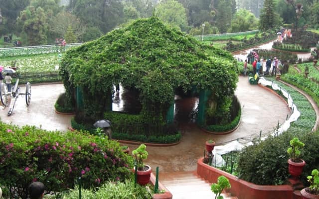 Mesmerize Amidst The Stunning View Of Botanical Gardens