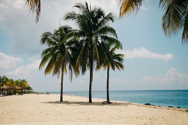 Turks & Caicos- Pine Cay