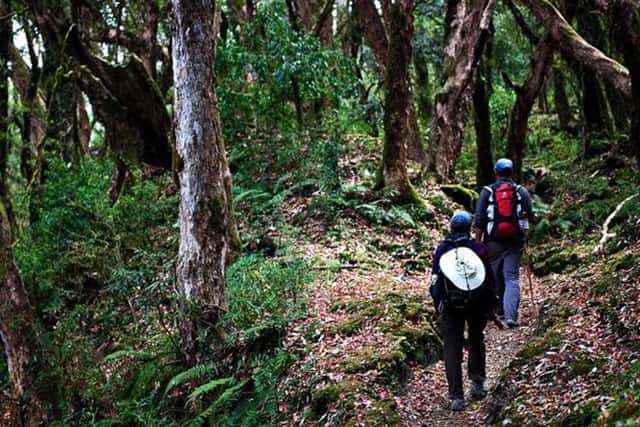 Ooty Tourism Trekking Routes