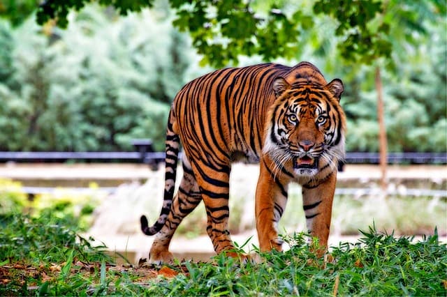 National Zoological Park Delhi Tourist Places