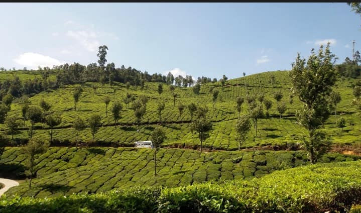 Pothamedu View Point Munnar Tourist Places