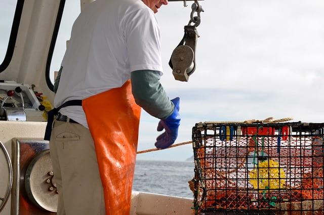 Things To Do In Portland Catch Your Own Lobster Maine