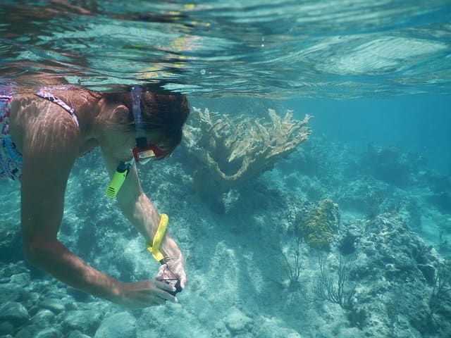 Best Beaches In Oahu: Makapuu Beach Snorkeling