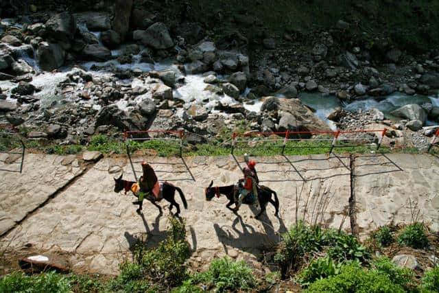 Gaurikund To Kedarnath By Horse