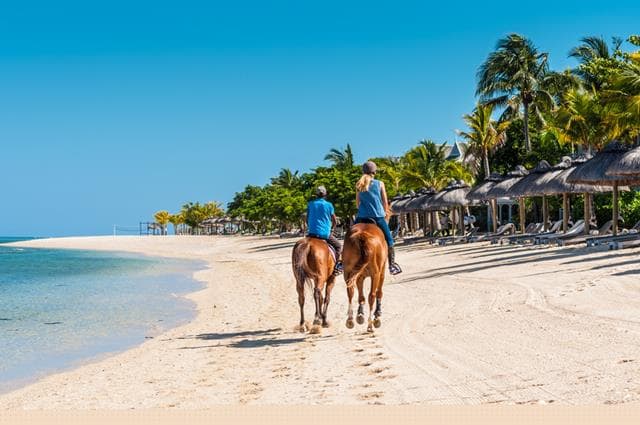 Mandrem Beach Huts Goa Romantic Beaches