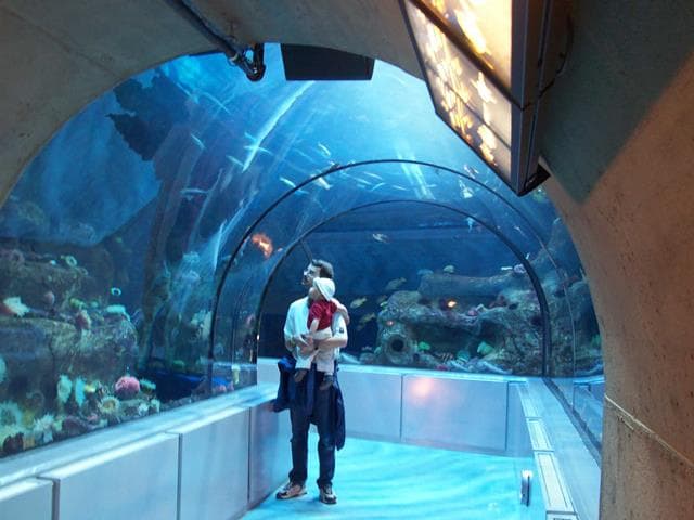 Places To Visit In Canada Aquarium Du Quebec City