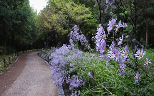 Coastal Maine Botanical Gardens Portland Attractions