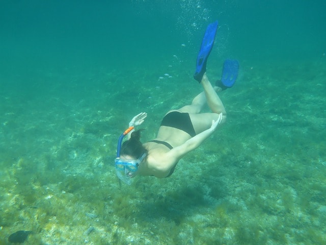 Hanauma Bay Snorkeling Things To Do In Oahu Hawaii