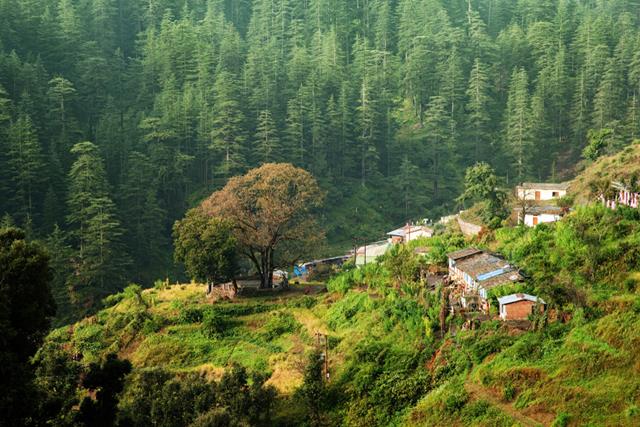 Best Time To Visit Ranikhet Uttarakhand