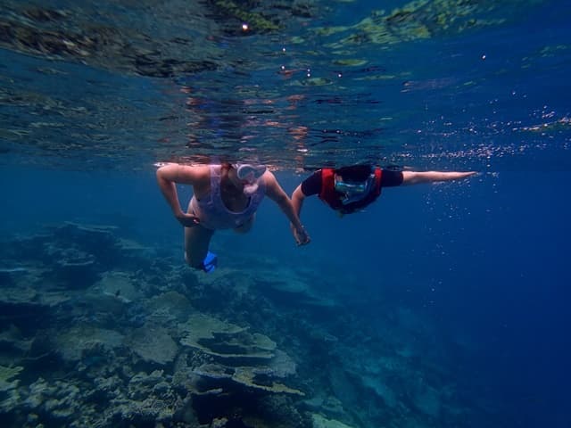 Things To Do In Florida Keys Vacation: Dry Tortugas Snorkeling