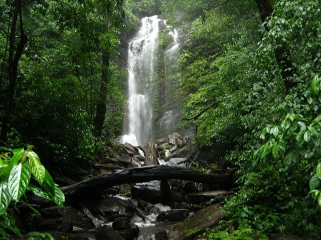 Shimoga Visiting Places: Hidlumane Falls Shimoga, Karnataka