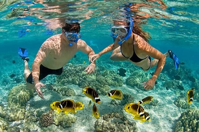 Things To Do In Florida Keys Vacation: Fort Zachary Taylor Snorkeling