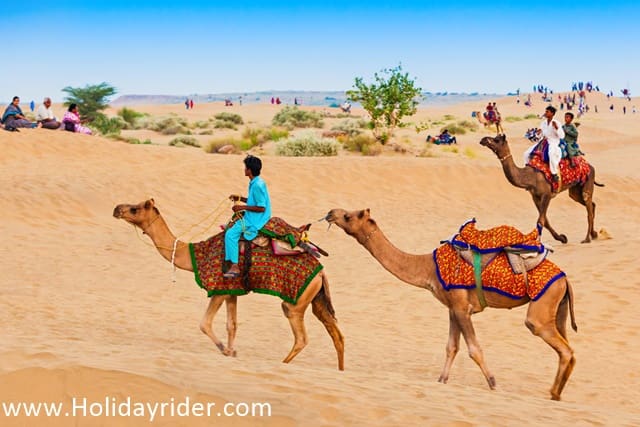 Things To Do In Pushkar Camel Safari