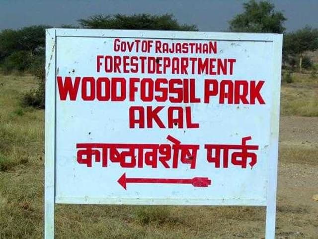 Places To Visit In Jaisalmer Tourism: National Wood Fossil Park Rajasthan