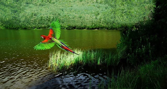 Key West Butterfly Conservatory Birds Best Things To Do In Florida Keys Vacation