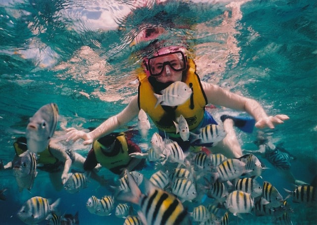 Things To Do In Cozumel Mexico: Playa Palancar Snorkeling Tour