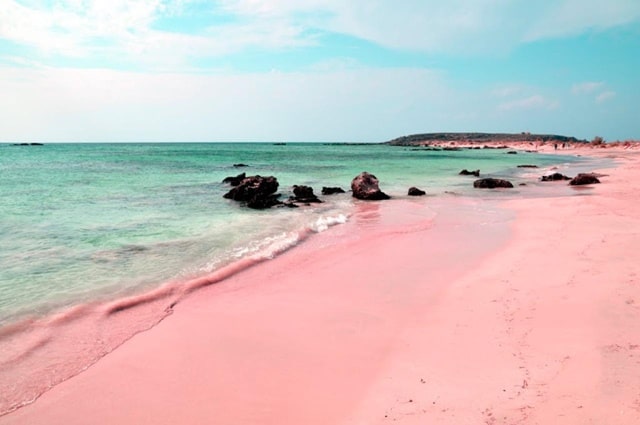 Pink Sands Beach Paradise Island In The Bahamas Vacation