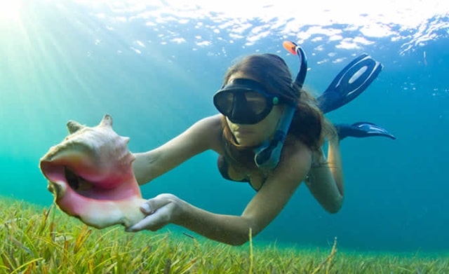 Bahia Honda State Park Snorkeling Popular Things To Do In Florida Keys Vacation