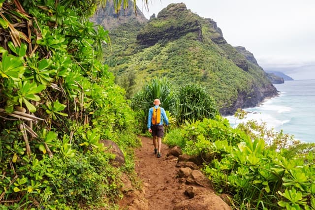 Waimea Canyon Hikes