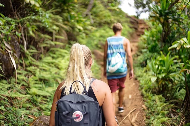 Fern Grotto Hike