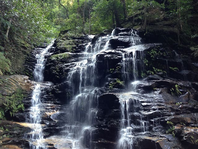 Dharawal National Park Walk