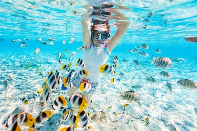 Bora Bora Snorkeling Tours