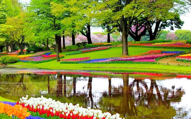 Keukenhof Gardens