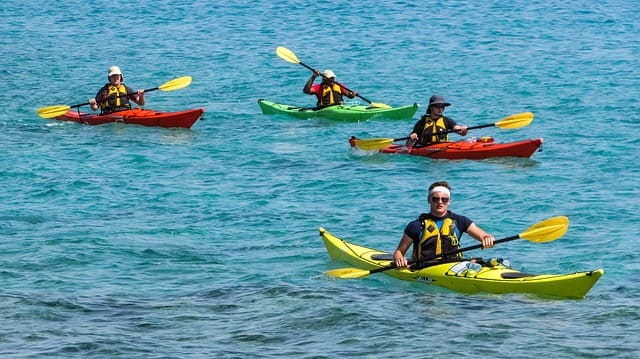 Kayaking In Sydney Australia