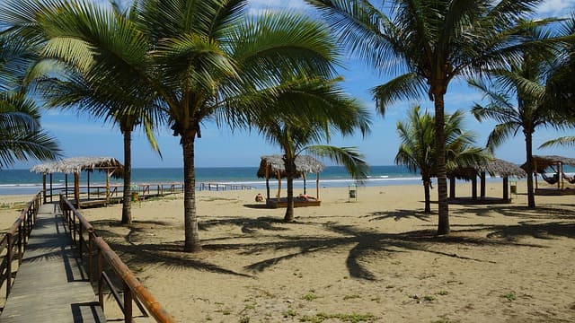 Punta Cormorant Beach, Ecuador