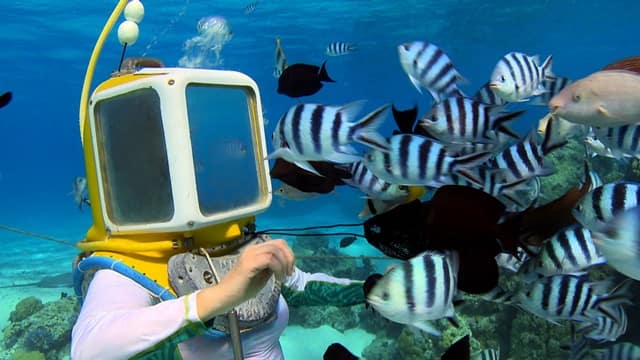 Aqua Safari Bora Bora