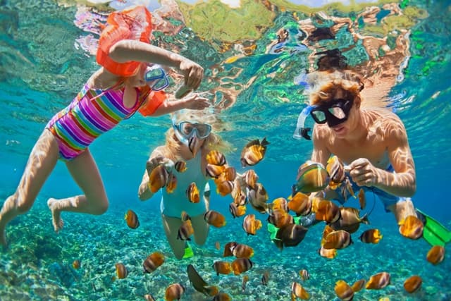 Gordons Bay Sydney Snorkeling