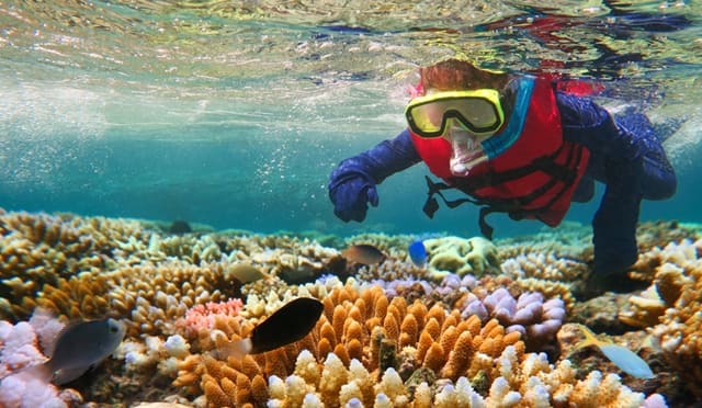 Great Barrier Reef Tours Cairns