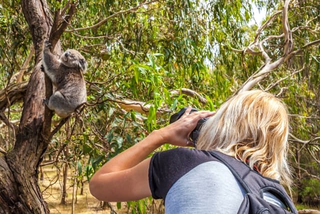 Melbourne Zoo